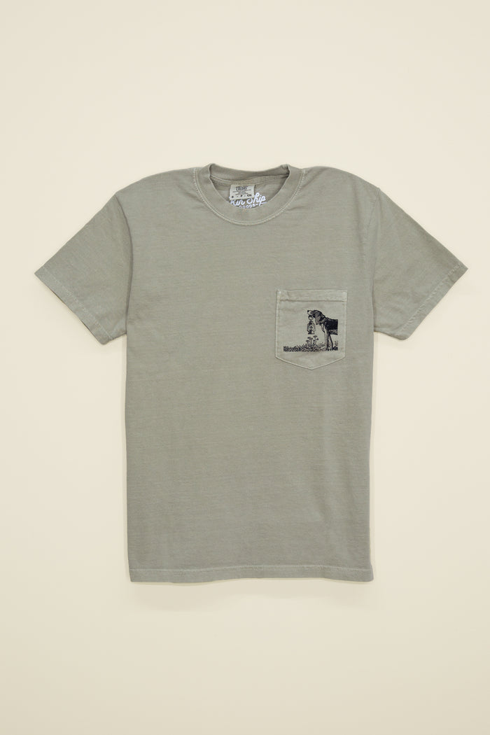 Kin Ship Goods beagle pocket tee in sage with mountain scene and ‘Comfort for all Creatures’ graphic on back.