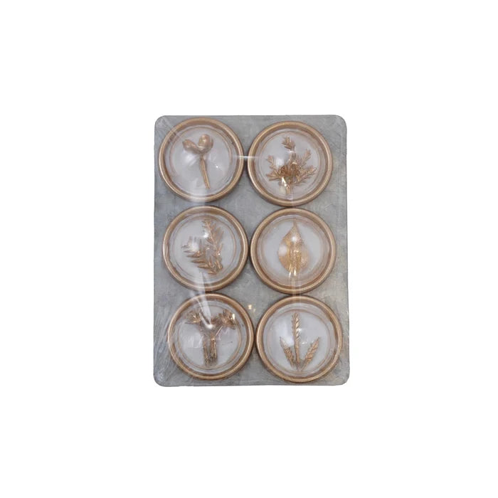 Botanical Magnet Set