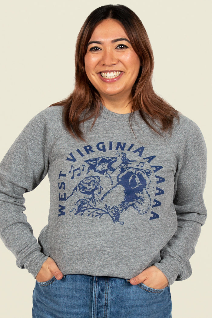 Kin Ship Goods heather gray sweatshirt with raccoon, opossum, and owl howling 'West Virginiaaaaaa' in navy blue text and notes.