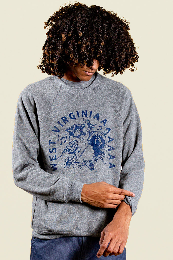 Kin Ship Goods heather gray sweatshirt with raccoon, opossum, and owl howling 'West Virginiaaaaaa' in navy blue text and notes.