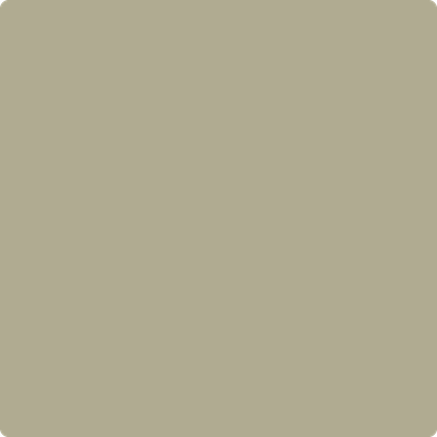 Shop the paint color 1510 Dried Basil by Benjamin Moore at Anderson Paint Company in Ann Arbor, Michigan.