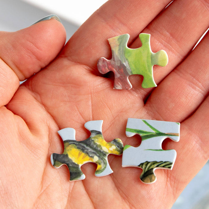 Freshwater Fish 1,000 Piece Puzzle with model holding pieces at Addison West