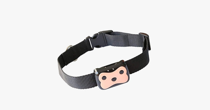 GPS Dog Tracker