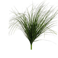 Grass Bush