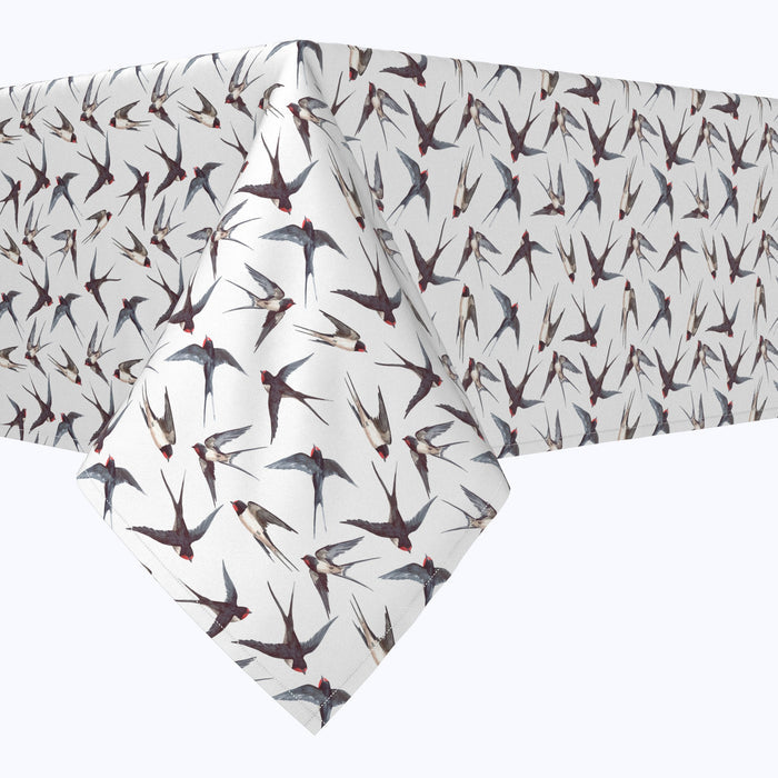 Hand Drawn Swallows Rectangles