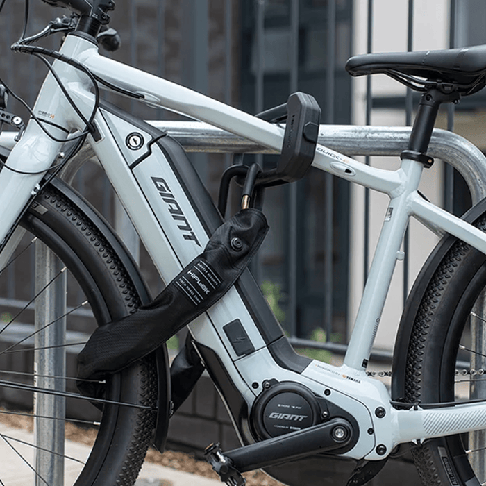 Hiplok E - DX Chain Lock Combo - Comor - Go Play Outside