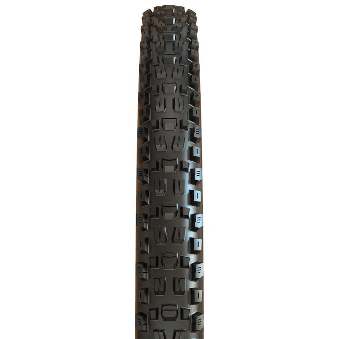 Maxxis Assegai 29x2.60WT 3C MaxxTerra EXO TR Tire - Comor - Go Play Outside