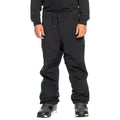 Quiksilver Snow Down Pant 2023