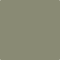 Shop the paint color 1497 Rolling Hills by Benjamin Moore at Anderson Paint Company in Ann Arbor, Michigan.