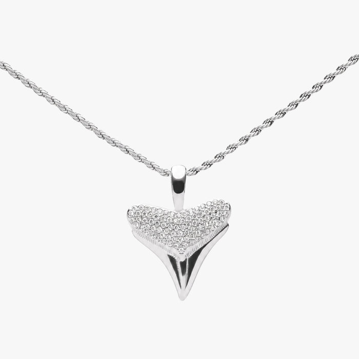 Shark Tooth Pendant Closeup