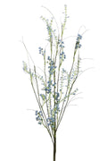 Spring Branch