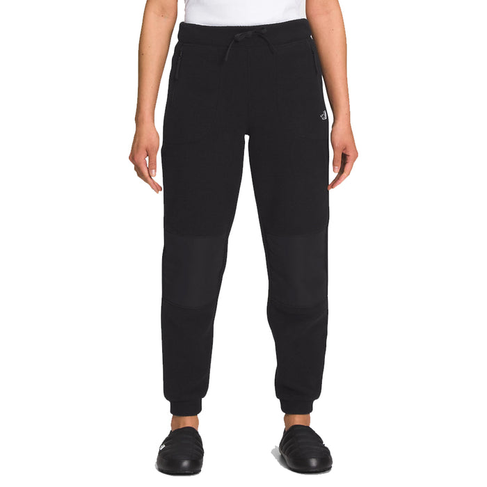 The North Face Alpine Polartec 200 Pant 2023
