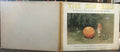 THE SUN-EGG - Elsa Beskow, RARE 1st Ed 1933 ILLUSTRATED CHILDREN'S FAIRIES ELVES