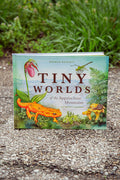 Tiny Worlds of the Appalachian Mountains