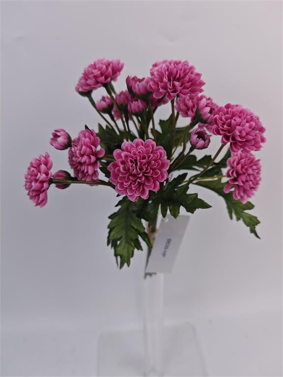Wild Mum Bundle