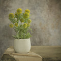 Yellow Onion Spray in Pot