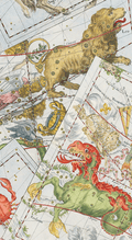 Zodiac Guest Towel